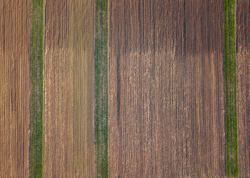 Aerial view from the drone of green rows of plantings on a plowed field. Top view