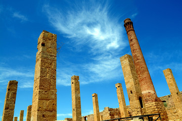 Italy - Sicily - Riserva di Vendicari ( natural riserve )  , Siracusa , between Noto and Marzamemi-...