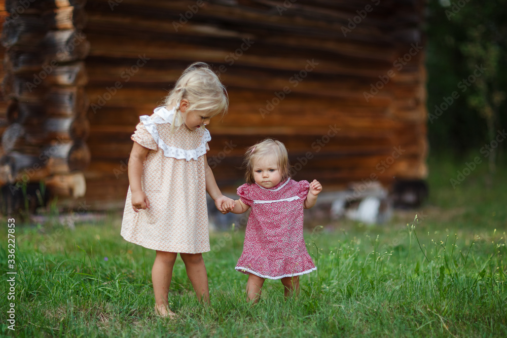 Wall mural girls children walk in the meadow, collect wild flowers, baby takes the first steps, sisters, happy 