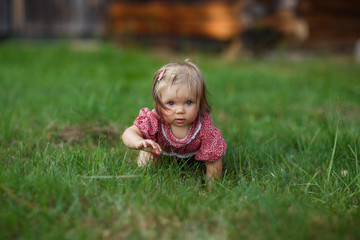 baby girl walking in the meadow, collecting wild flowers, daisies, crawling on the grass, happy childhood, summer