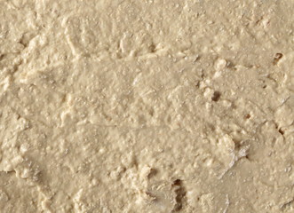 Tuna fish pate, pasty spread surface texture and background