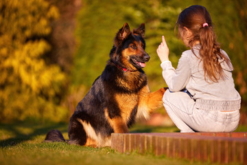 Bohemian shepherd, dog watches girl with long hair and finger raised. Family play with dog in garden. Children and dogs. Active, excited dog and his family. Ancient Czech breed, purebred.