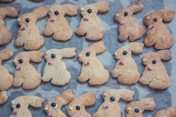 Fertig gebackene Osterhasen Plätzchen © Eduard
