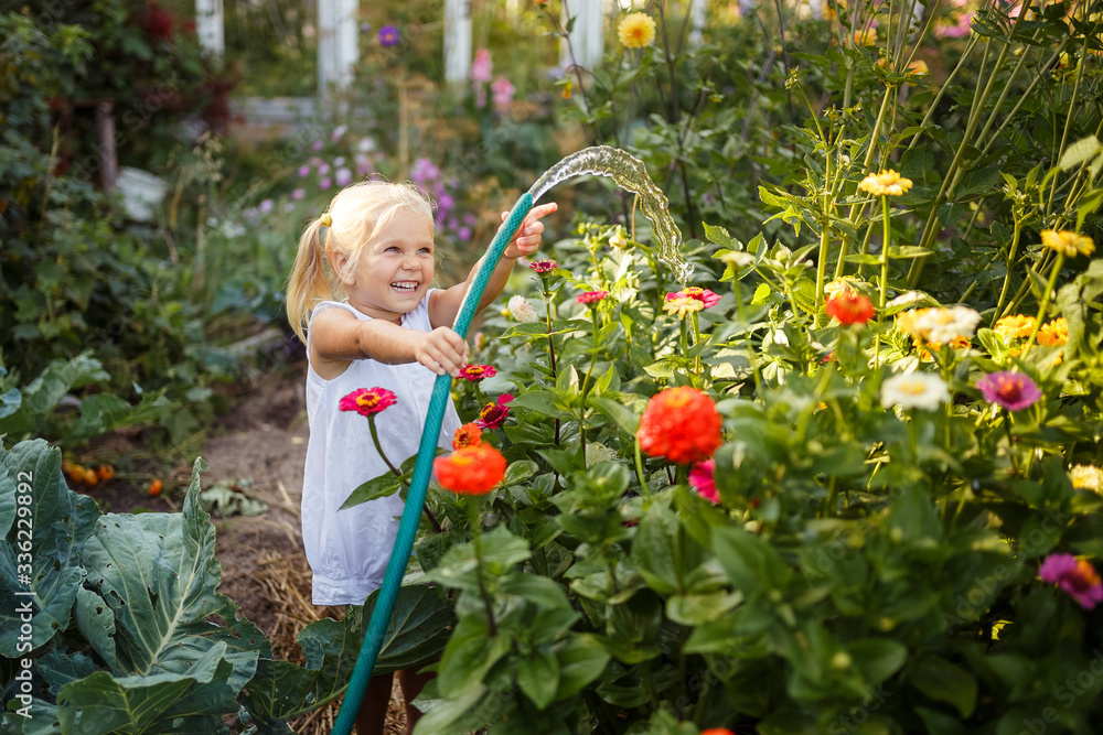 Wall mural girl child in the garden watering plants, a small gardener, summer in the village