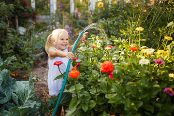 girl child in the garden watering plants, a small gardener, summer in the village
