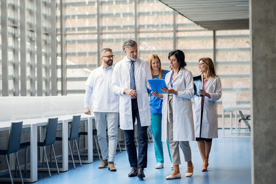 Group Of Doctors Walking In Corridor On Medical Conference.