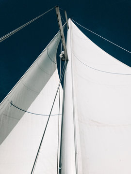 White sunny sails