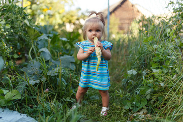Girl eating corn in the garden, garden, July, summer in the village, happy child