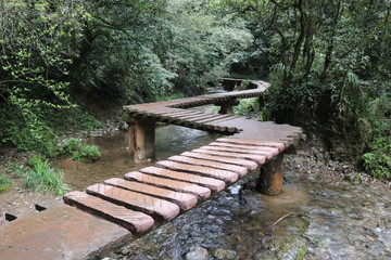  wooden bridge pathway a river in a mountain forest in Sichuan, China