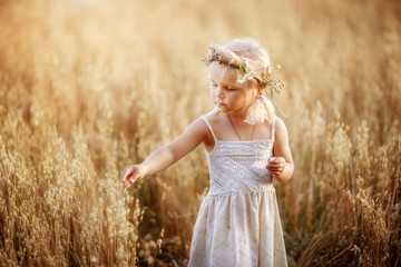 Fototapeta na wymiar a girl walks in a wheat field, spikelets, August, white dress, happy child, nature, summer in the village