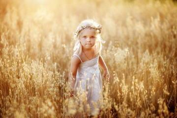 a girl walks in a wheat field, spikelets, August, white dress, happy child, nature, summer in the village