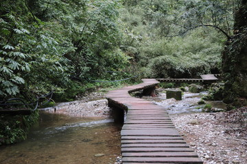  wooden bridge pathway a river in a mountain forest in Sichuan, China - obrazy, fototapety, plakaty