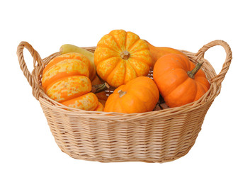 mini pumpkin