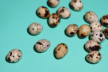 Quail eggs are randomly located on the right on a pale green background. Photo taken close up. Bright photo for your best design.
