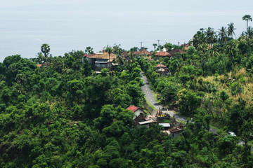 Carretera a través de la selva y varias casas alrededor en Bali