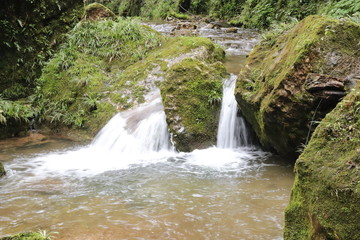 Beautiful landscape of cascade falls over mossy rocks, stones cover with moss, in a Mountain in Sichuan, China