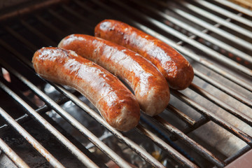 German style sausage