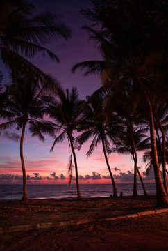 Beautiful pink sunsets at the beach