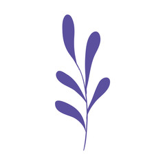 Isolated leaf icon design of Floral nature plant garden ornament botany decoration and life theme Vector illustration