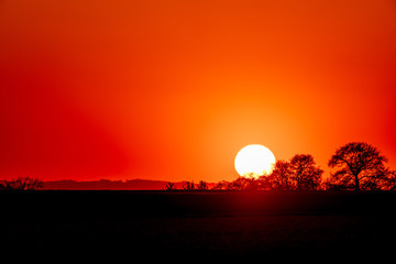 Sonnenuntergang mit Bäumen und Büschen