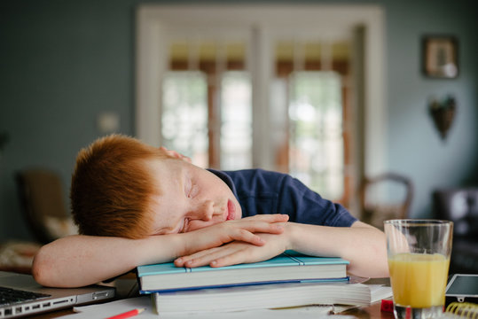 Asleep on Homework