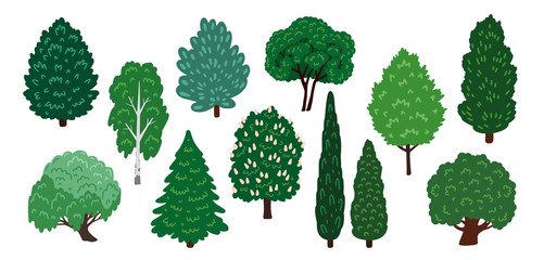 Set of hand drawn forest and park trees. Various cartoon design elements for woodland landscape. Vector flat illustrations, isolated on white background.