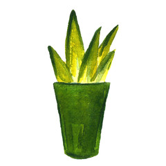 watercolor cactus in a pot set. Watercolor cactuses, hand-drawn cacti set isolated. Funny cartoon sketch