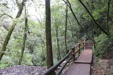 Obraz premium wooden pathway near a river in a mountain forest in Sichuan, China