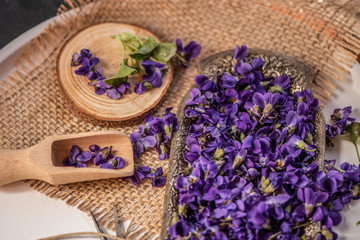 Violet violets flowers bloom from a spring forest. Viola odorata styled studio shot on wooden...