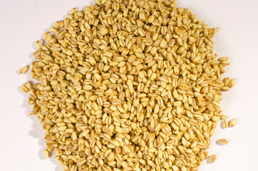 many grains of dry yellow wheat
