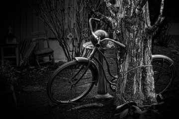 Old bicycle - 336242279
