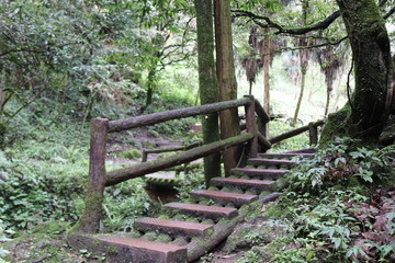 wooden pathway near a river in a mountain forest in Sichuan, China