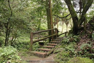wooden pathway near a river in a mountain forest in Sichuan, China