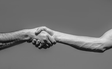 handshake between two businessmen. Shadow. Hands. 