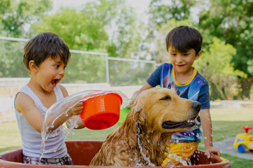 happy kids shower a dog