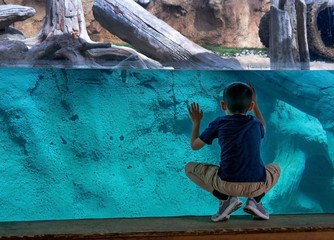 A young boy looks through glass at a zoo exhibit