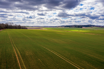 Fototapeta premium Aerial view of green agricultural fields in spring