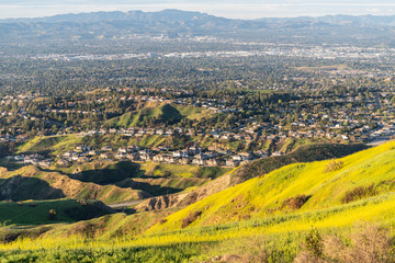 Wildflower mountain slopes and valley view homes in the San Fernando Valley area of north Los Angeles, California.  