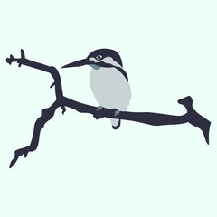 Pajarito agarrado de una rama de un árbol con tonos de color azul, ave, colibrí © Frank