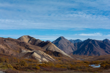 Fototapeta premium Barren set of sandy and rocky ridgelines rise above Alaskan fall color scrubs