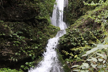 Beautiful landscape of a waterfall in a forest in a Mountain in Sichuan, China