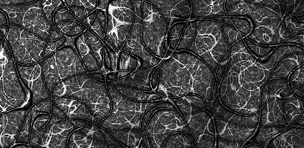 Fototapete abstract organic structure. black and white network. 3d rendering