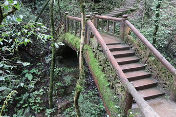  wooden bridge across a river in a mountain forest in Sichuan, China