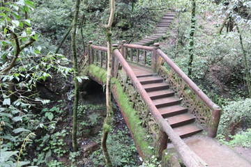  wooden bridge across a river in a mountain forest in Sichuan, China