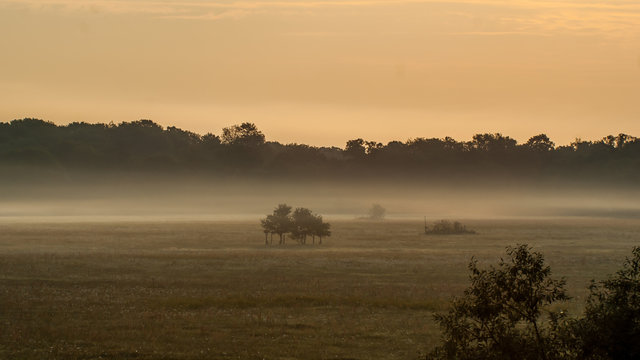 Morning view of the agricultal grounds around Unesco Park Dessau-Wörlitz, Germany © LauraFokkema