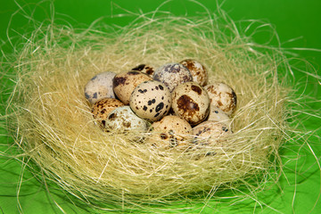 Quails eggs in the decorative nest on green background. Easter concept.