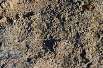 Texture of old gray concrete wall for background. Gray concrete wall as background