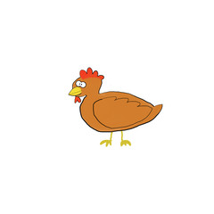funny chicken cartoon chicken illustration funny animals