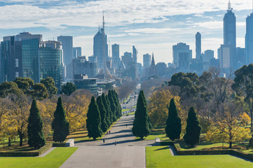 Melbourne cityscape with Central Business District and park - obrazy, fototapety, plakaty
