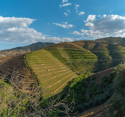View of the beautifull Torto river valley with vineyards and terraced slopes in the Douro Region,...